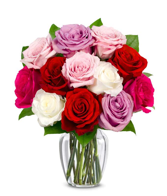 One dozen pink, red, white and purple roses for Mother's Day gift