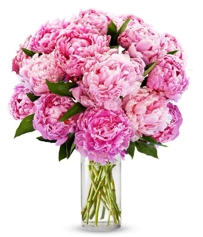 A stunning arrangement of 15 assorted pink peonies, optionally presented in a vase. These lush and fragrant peonies create a beautiful and elegant display, perfect for adding a touch of romance to any setting.