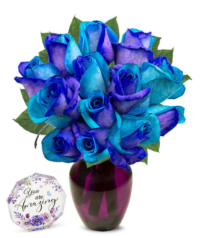 one dozen roses dyed half bright half dark blue in a clear glass vase