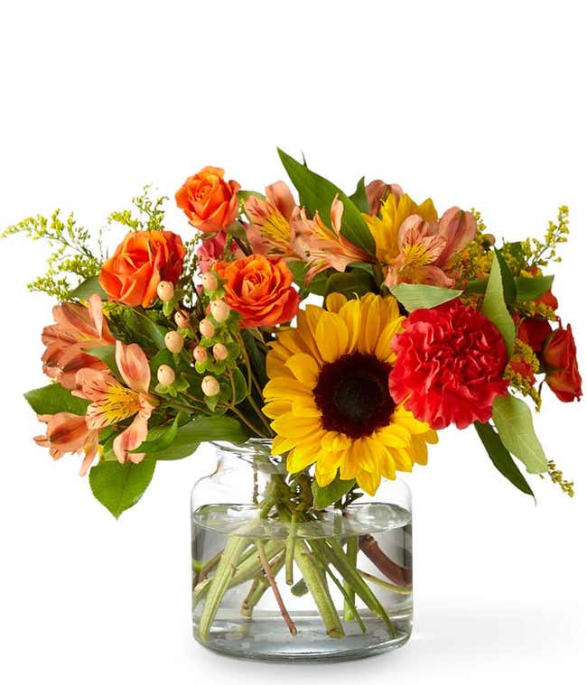 Sunny Harvest Garden