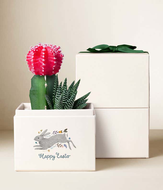 Lula's Garden ® Easter Rosé Garden