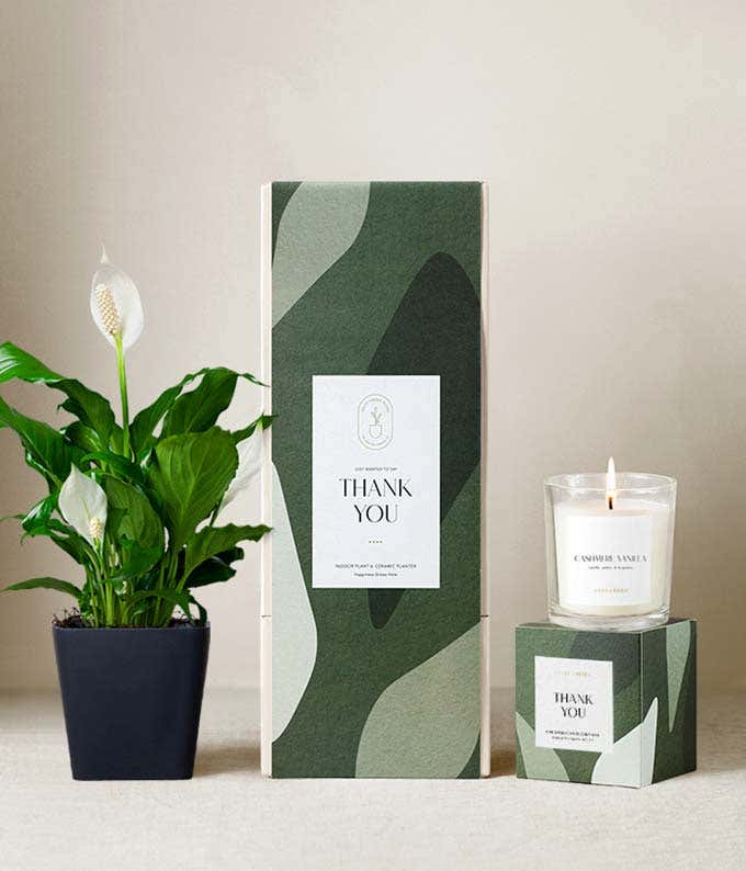Thank you gift set featuring a peace lily plant in a black ceramic planter, a citrus blossom scented candle, and a green patterned gift box labeled Thank You.