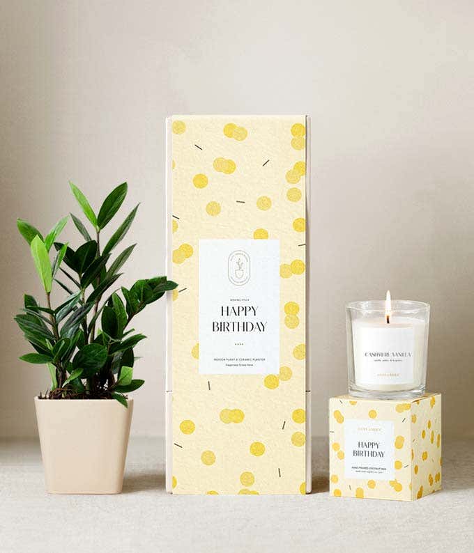 Birthday gift set featuring a ZZ plant in a black ceramic planter, a citrus blossom scented candle, and a yellow polka dot patterned gift box labeled Happy Birthday