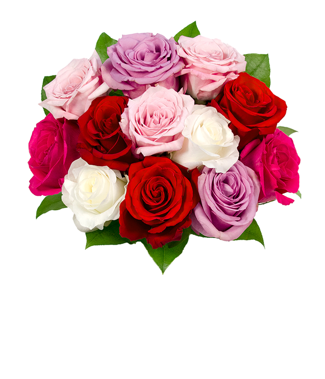 Partial image of One dozen pink, red, white and purple roses for Mother's Day gift without vase.